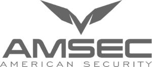 Amsec Safe logo